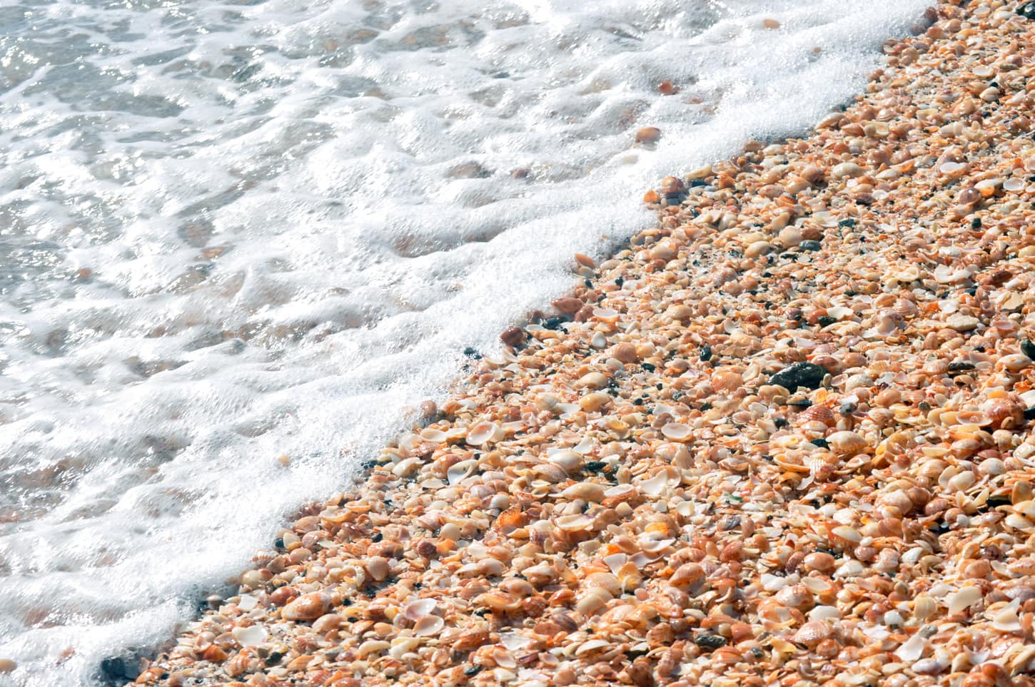 Bãi biển vỏ sò