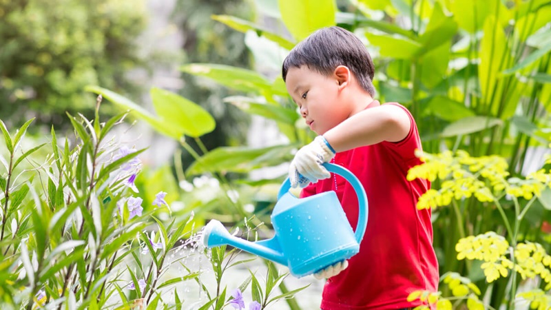 chăm sóc cây cối